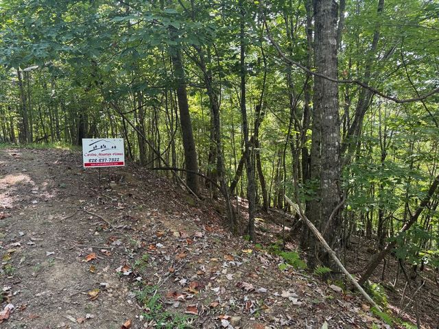 18 Mason Way, Murphy, NC 28906