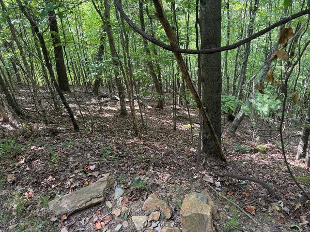 18 Mason Way, Murphy, NC 28906