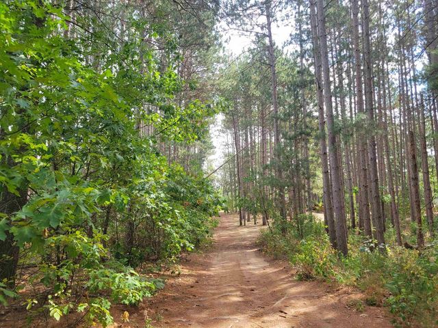 N10596 Lakeside Court, Necedah, WI 54646