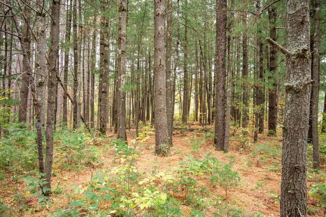 N10596 Lakeside Court, Necedah, WI 54646