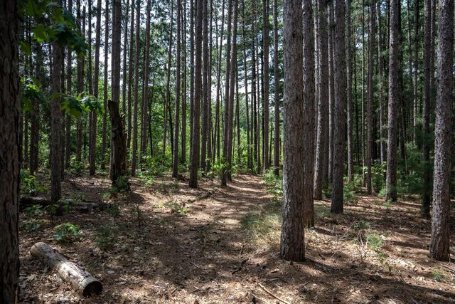 N10596 Lakeside Court, Necedah, WI 54646