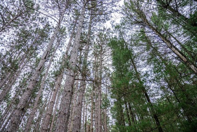 N10596 Lakeside Court, Necedah, WI 54646