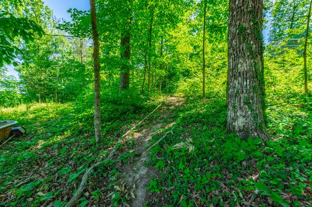 4506 Cove Lane, Chattanooga, TN 37415