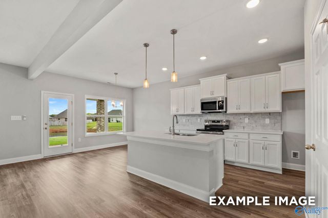 163 Heritage Lakes Boulevard, New Market, AL 35761