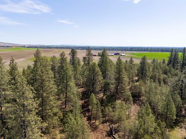 14725 S STANGLAND Rd, Cheney, WA 99004