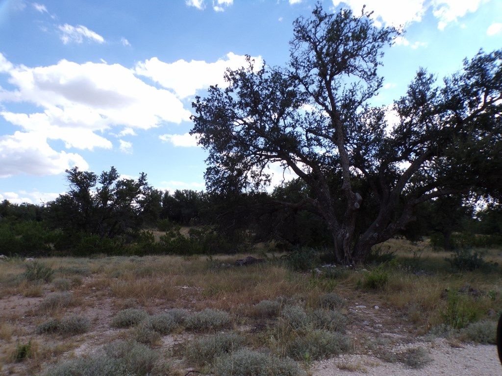 Image 28 of property listing at 22266 Chula Vista Rd, Christoval, TX 76935