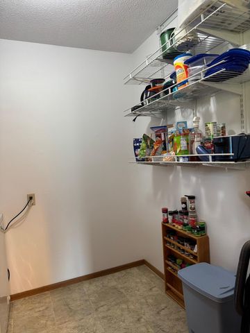 32348 Trumpeter Loop, Dent, MN 56528