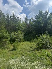 Lot 31 RED TAIL HAWK DRIVE, Stevens Point, WI 54482