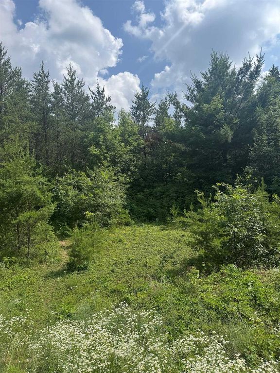 Lot 31 RED TAIL HAWK DRIVE, Stevens Point, WI 54482