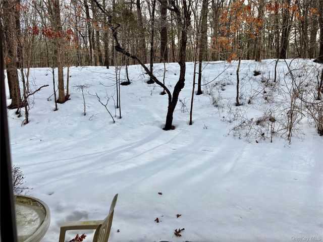 9 Willow Ct 9, Selden, NY 11784