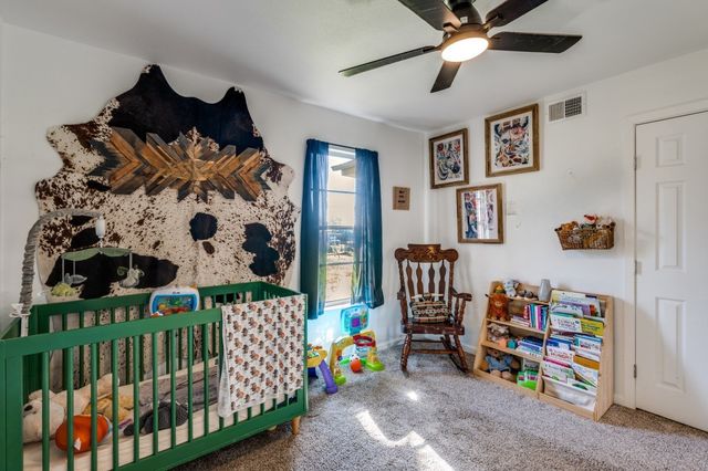 1406 Vine Street, Bridgeport, TX 76426