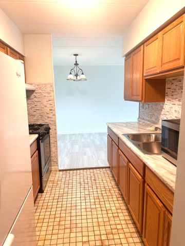 300 S Roselle Road 309, Schaumburg, IL 60193