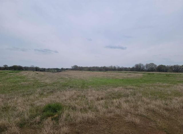 TBD CR 2214, Pittsburg, TX 75686