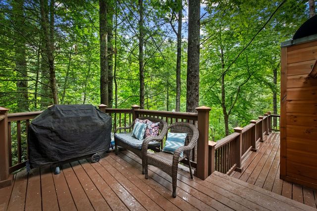 184 Fightingtown Drive, Blue Ridge, GA 30513
