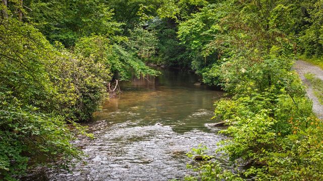 184 Fightingtown Drive, Blue Ridge, GA 30513