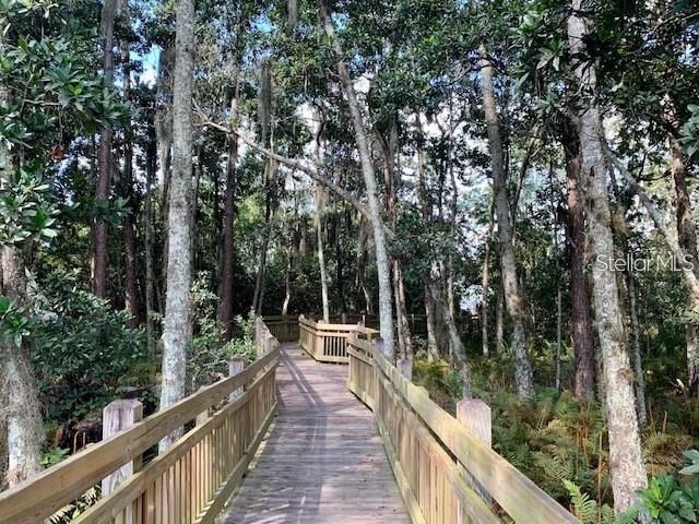 3211 DARK SKY DRIVE, Harmony, FL 34773