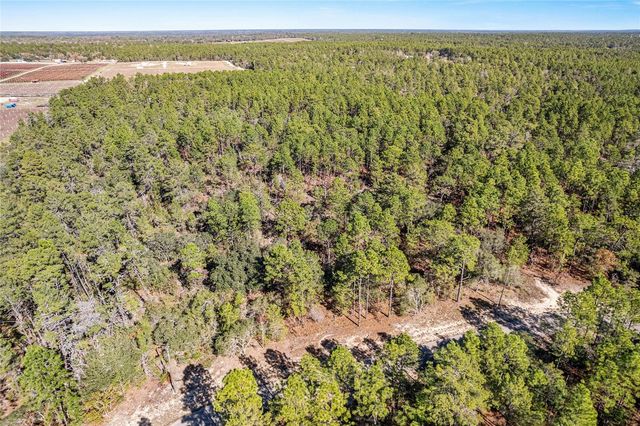 8949 N FARRINGTON DRIVE, Citrus Springs, FL 34433