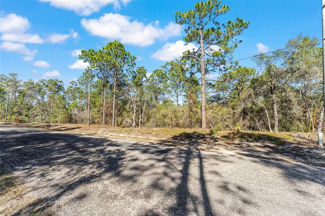 8949 N FARRINGTON DRIVE, Citrus Springs, FL 34433