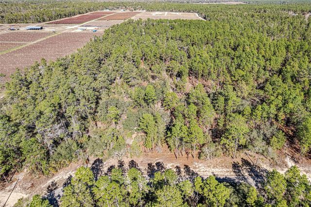 8949 N FARRINGTON DRIVE, Citrus Springs, FL 34433