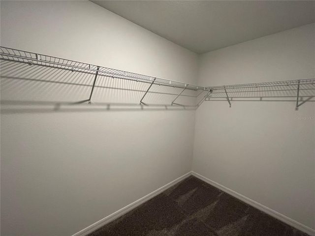 10337 TRUMPET HONEYSUCKLE WAY, San Antonio, FL 33576