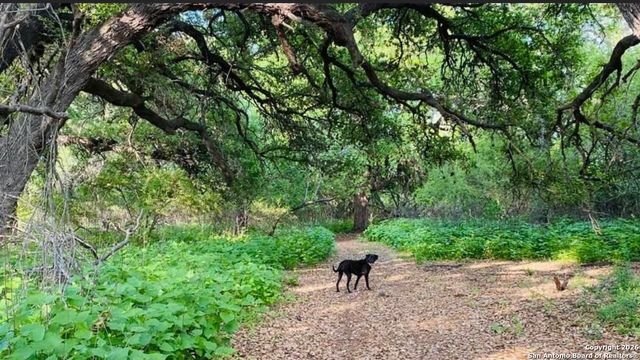 79 live oak, Brackettville, TX 78832