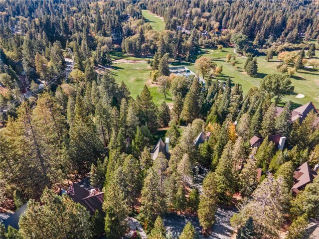 180 Grass Valley, Lake Arrowhead, CA 92352