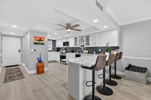 101 N GRANDVIEW STREET 206, Mount Dora, FL 32757