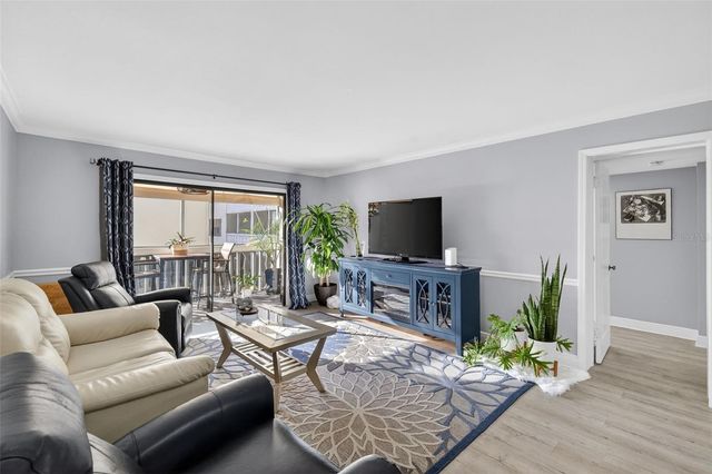 101 N GRANDVIEW STREET 206, Mount Dora, FL 32757