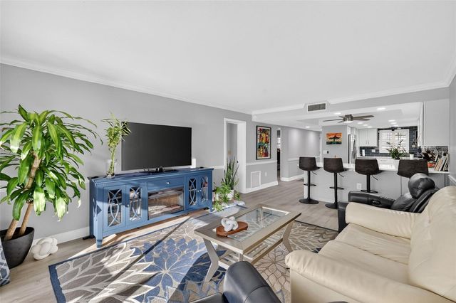 101 N GRANDVIEW STREET 206, Mount Dora, FL 32757