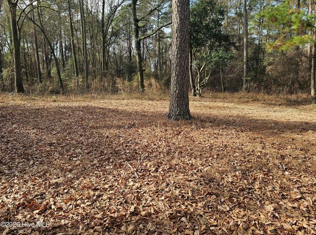 536 Harmony Church Road, Clinton, NC 28328