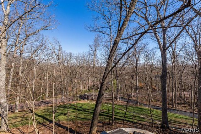 1645 Trotting Trail Road, Clarkson Valley, MO 63005