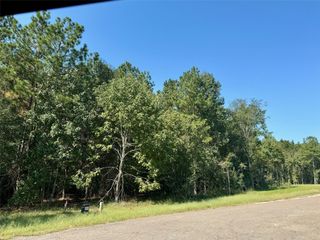 Lot 7 Stonebrook Drive, Livingston, TX 77351