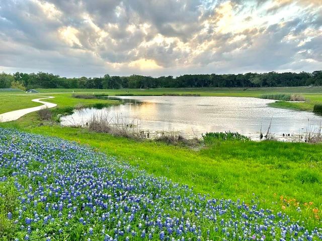 200 Christi CT, Kyle, TX 78640