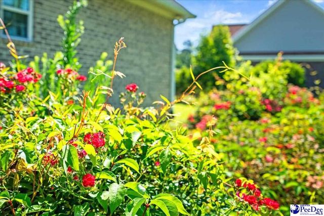 3402 Shadow Creek Drive, Florence, SC 29505