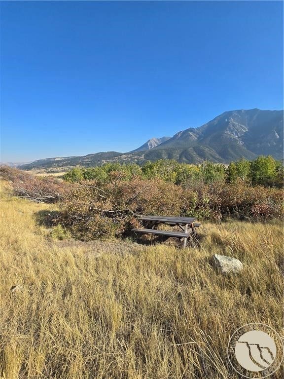 26 Elk Park Trail, Nye, MT 59061 photo 7