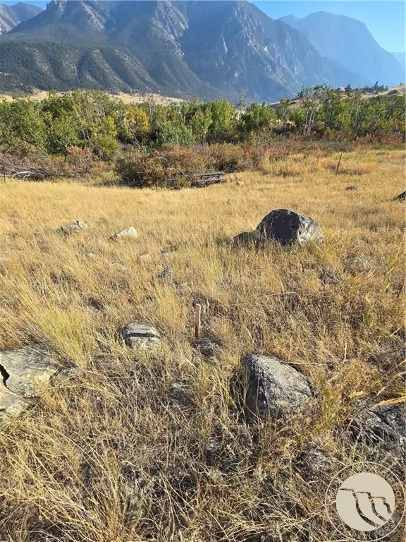 26 Elk Park Trail, Nye, MT 59061 photo 9