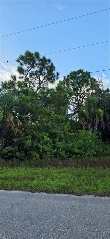 851 Spaulding ST E, LEHIGH ACRES, FL 33974 — photo 4
