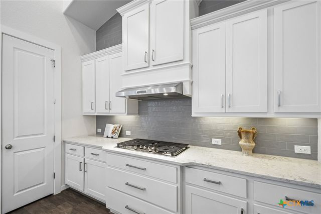 505 Copper Sage Drive, San Marcos, TX 78666