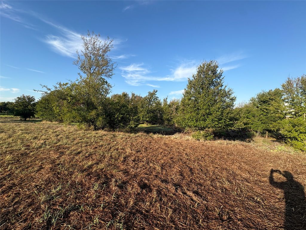 7933 Lax Drive, Fort Worth, TX 76126 — photo 3