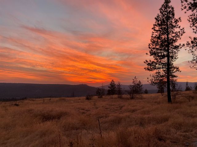 6560 Pine Ridge Way, Nine Mile Falls, WA 99026