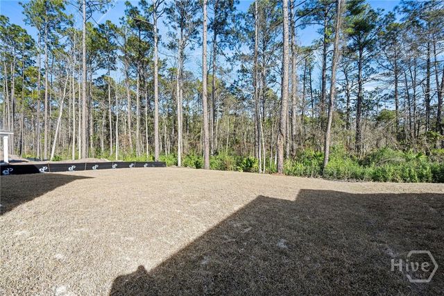 432 Monterey Loop, Richmond Hill, GA 31324