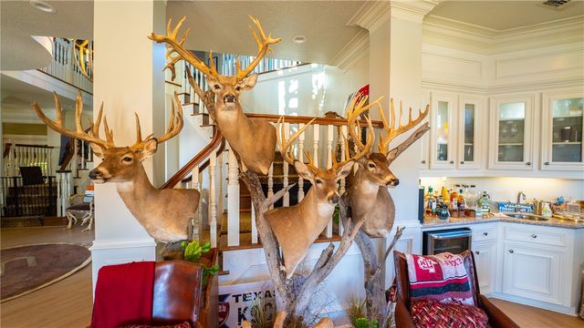 20650 Fm 2154 Road, College Station, TX 77845