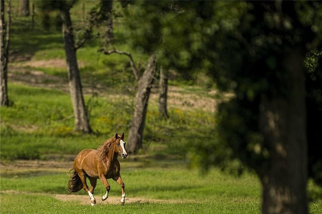 20650 Fm 2154 Road, College Station, TX 77845