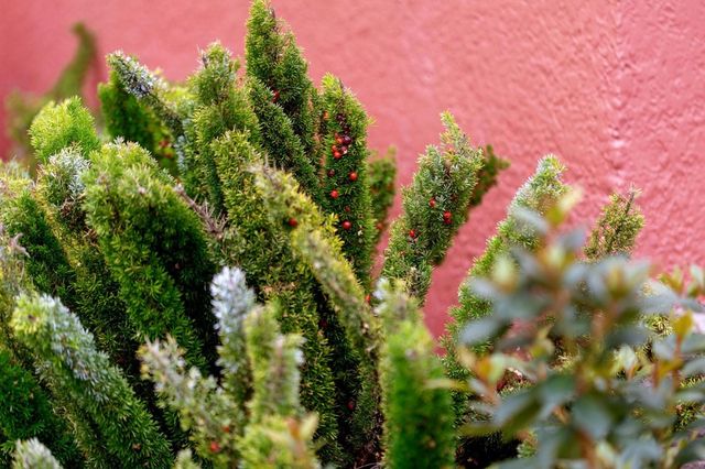 1128 1128 Delaware St, Berkeley, CA 94702