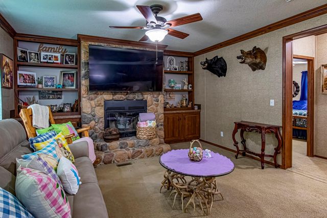 595 Andrew Jackson Drive, Livingston, TX 77351