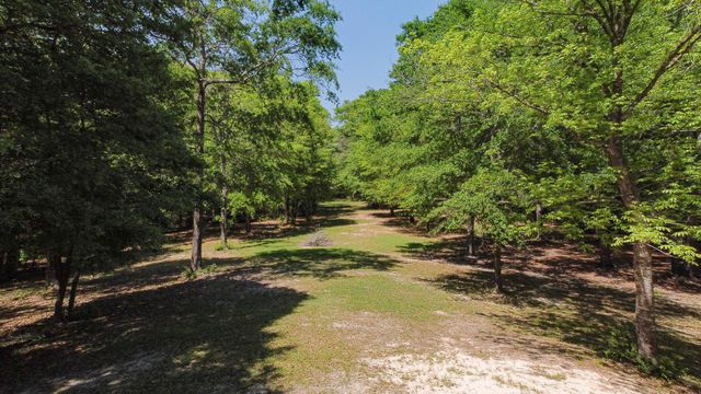 595 Andrew Jackson Drive, Livingston, TX 77351