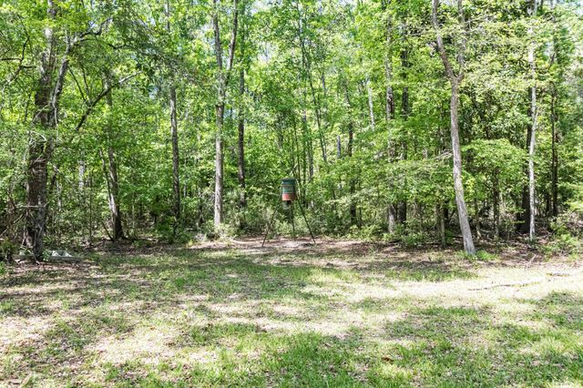 595 Andrew Jackson Drive, Livingston, TX 77351