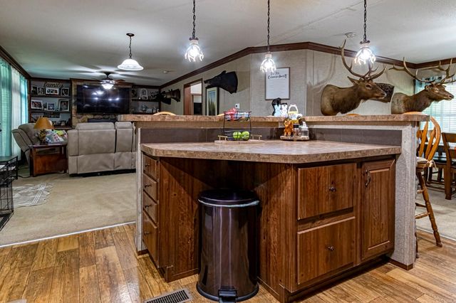 595 Andrew Jackson Drive, Livingston, TX 77351