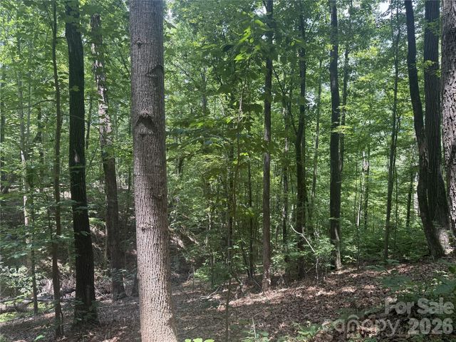 316 318 Cane Creek Mountain Road, Union Mills, NC 28167
