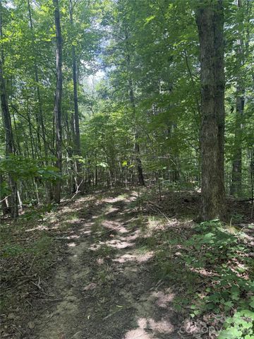 316 318 Cane Creek Mountain Road, Union Mills, NC 28167
